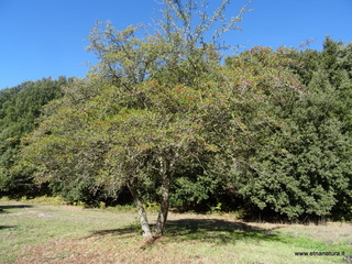sco di Centorbi-18-10-2020 11